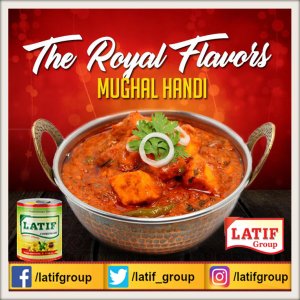 Mughal Handi