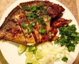 Fish 01
